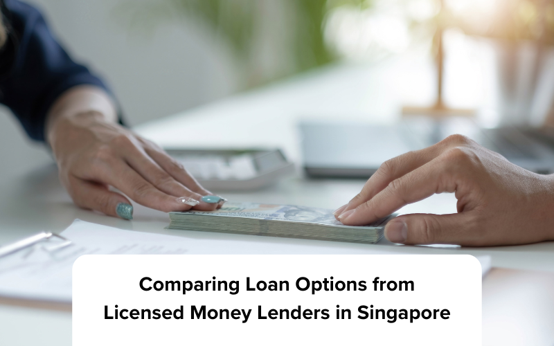 Licensed money lenders